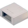 ECS P&#229;veggsboks for Keystone 2 x RJ45