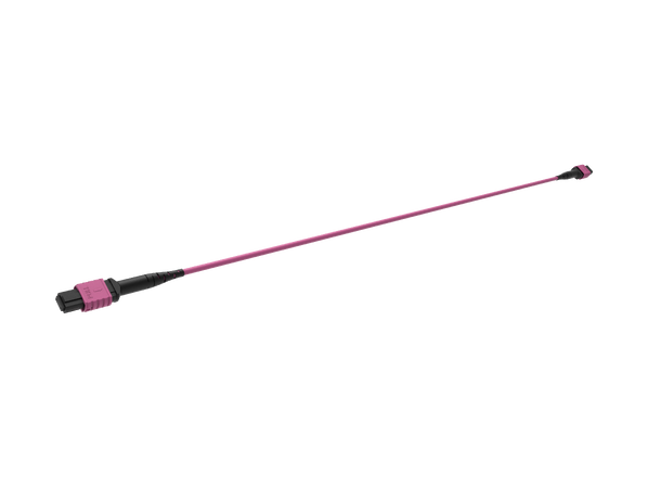 ECS MPO 12F MPO/M-MPO/M, OM4 Lilla 005m Trunkkabel 3mm, CPR Cca, Pol B 