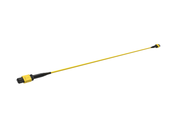 ECS MPO 12F MPO/M-MPO/M, SM Gul 020m Trunkkabel 3mm, G657A1, CPR Cca, Pol B 